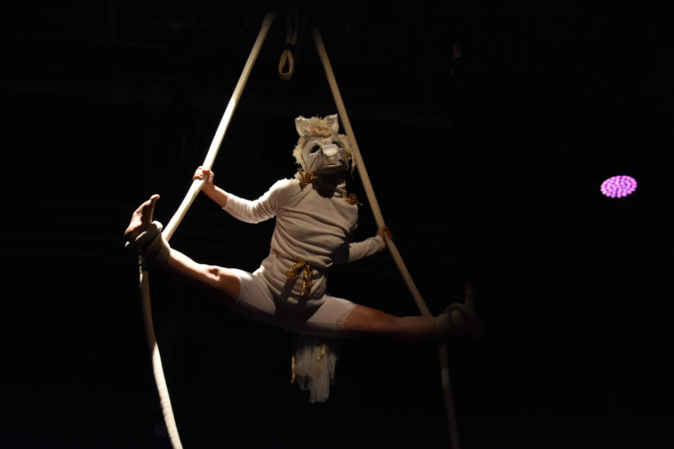 An aerial artist in an animal mask holds themselves up on a rope with their legs in box splits